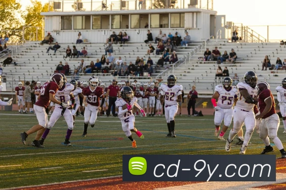 九游官网平台生态图